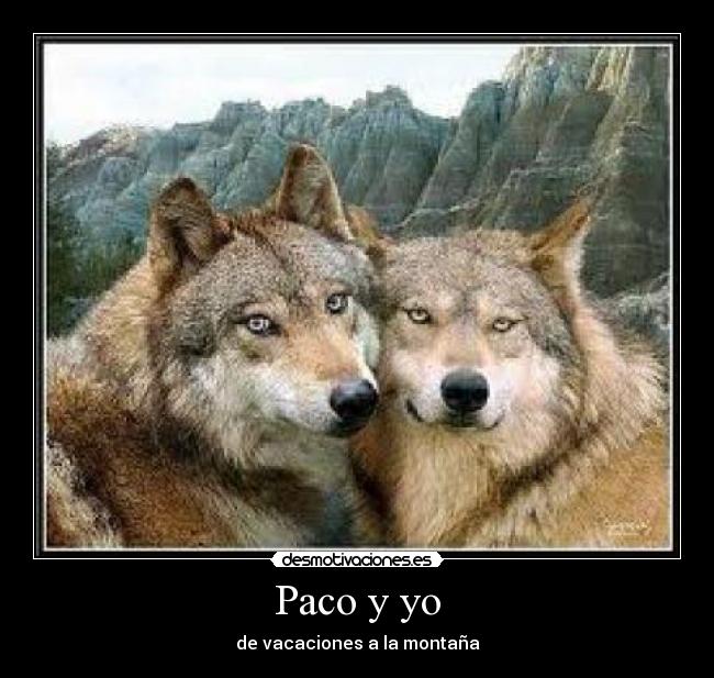 Paco y yo - de vacaciones a la montaña