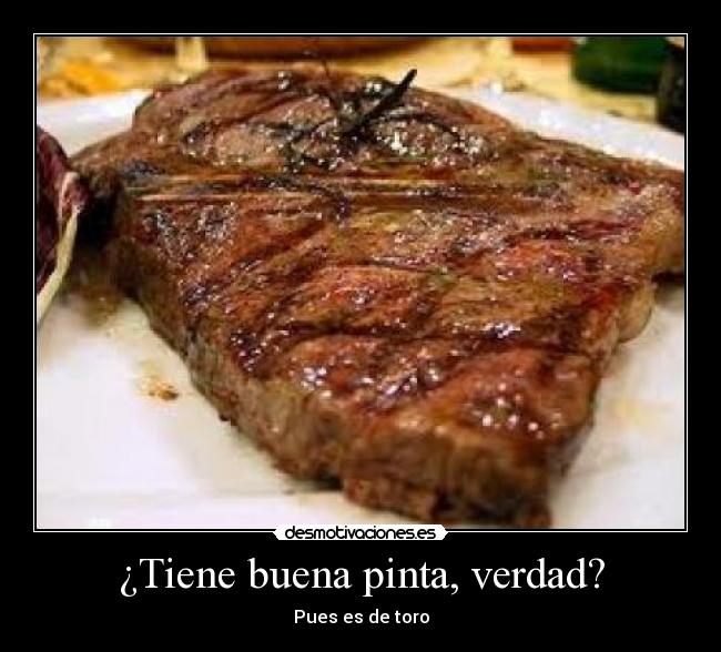 ¿Tiene buena pinta, verdad? - Pues es de toro