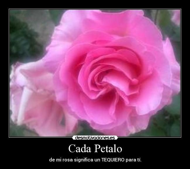 Cada Petalo -