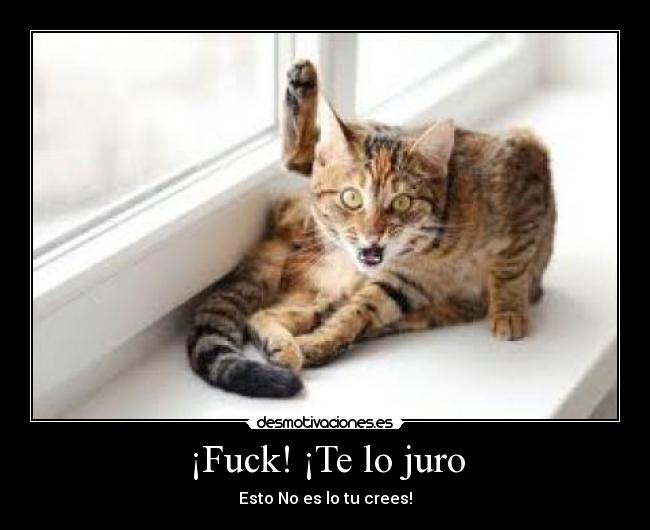 ¡Fuck! ¡Te lo juro - Esto No es lo tu crees!