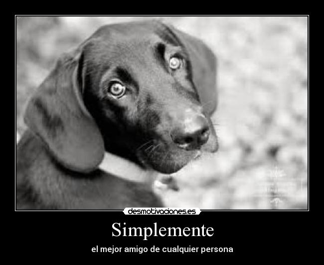 carteles angeva desmotivaciones