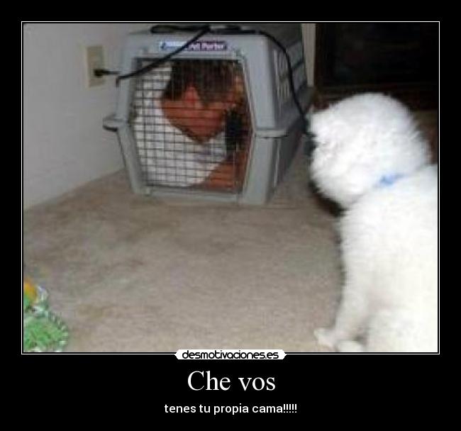 Che vos - tenes tu propia cama!!!!!