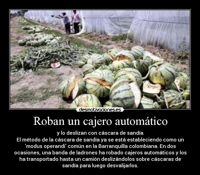 Roban un cajero automático - y lo deslizan con cáscara de sandía
El método de la cáscara de sandía ya se está estableciendo como un
modus operandi común en la Barranquilla colombiana. En dos
ocasiones, una banda de ladrones ha robado cajeros automáticos y los
ha transportado hasta un camión deslizándolos sobre cáscaras de
sandía para luego desvalijarlos.