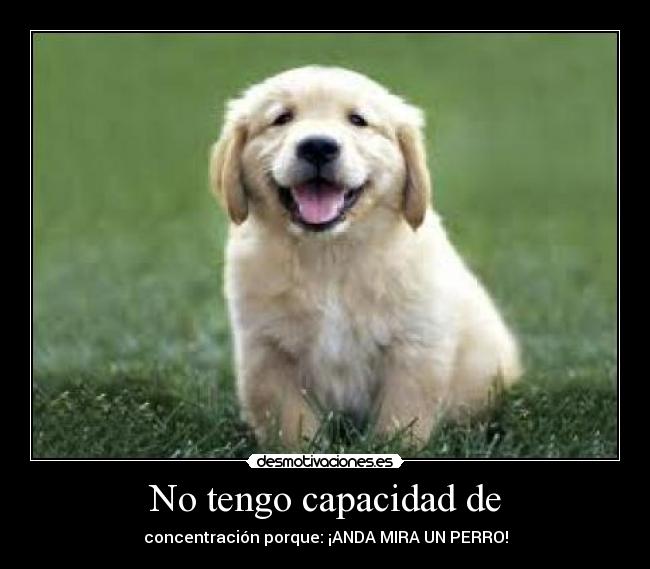 No tengo capacidad de - 