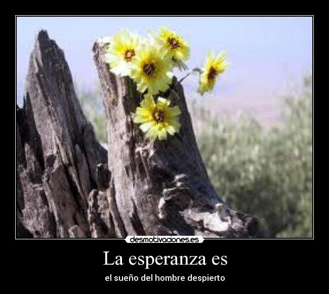 La esperanza es - el sueño del hombre despierto