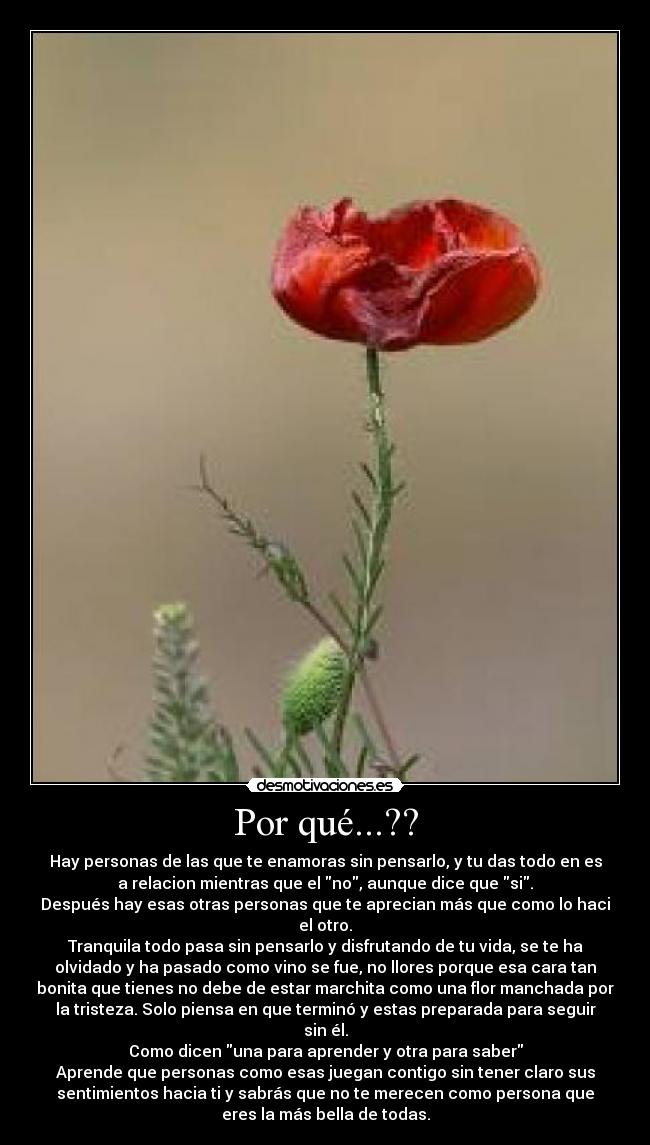 Por qué...?? - Hay personas de las que te enamoras sin pensarlo, y tu das todo en es
a relacion mientras que el no, aunque dice que si.
Después hay esas otras personas que te aprecian más que como lo haci
el otro.
Tranquila todo pasa sin pensarlo y disfrutando de tu vida, se te ha
olvidado y ha pasado como vino se fue, no llores porque esa cara tan
bonita que tienes no debe de estar marchita como una flor manchada por
la tristeza. Solo piensa en que terminó y estas preparada para seguir
sin él.
Como dicen una para aprender y otra para saber
Aprende que personas como esas juegan contigo sin tener claro sus
sentimientos hacia ti y sabrás que no te merecen como persona que
eres la más bella de todas.