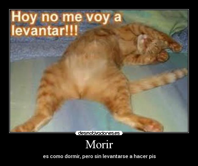 carteles coco15 desmotivaciones