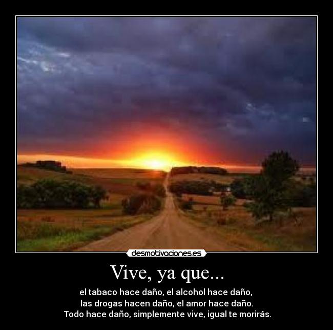 Vive, ya que... - 