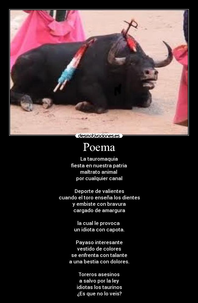 Poema - La tauromaquia
fiesta en nuestra patria
maltrato animal
por cualquier canal
Deporte de valientes
cuando el toro enseña los dientes
y embiste con bravura
cargado de amargura
la cual le provoca
un idiota con capota.
Payaso interesante
vestido de colores
se enfrenta con talante
a una bestia con dolores.
Toreros asesinos
a salvo por la ley
idiotas los taurinos
¿Es que no lo veis?