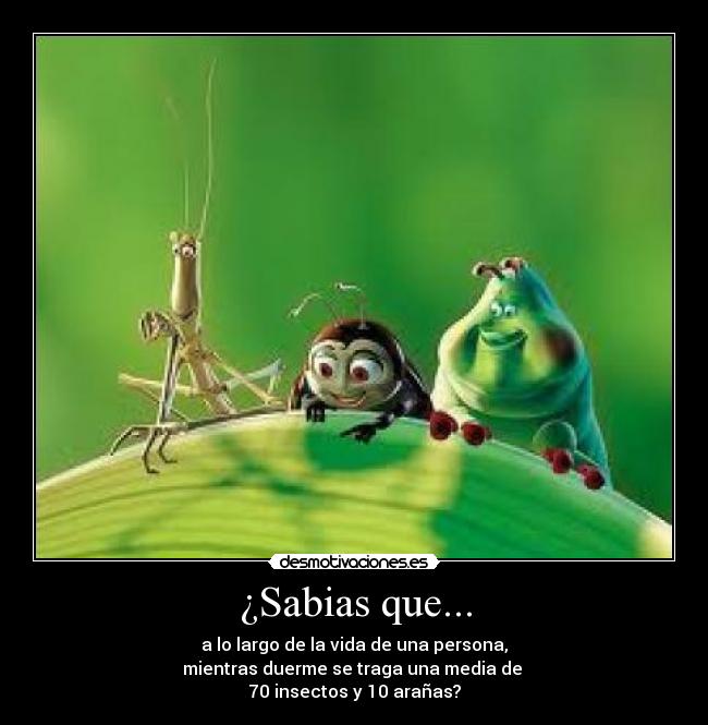¿Sabias que... - a lo largo de la vida de una persona,
mientras duerme se traga una media de 
70 insectos y 10 arañas?