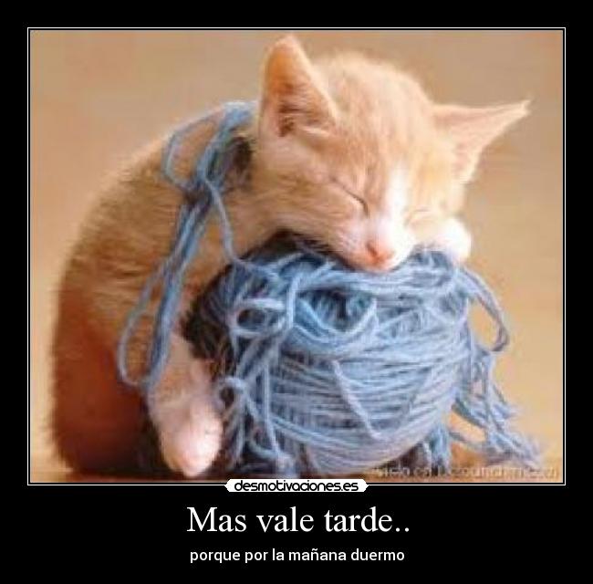 carteles que bonito gatito desmotivaciones