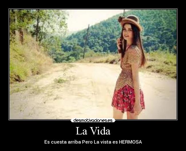 carteles vida solo mira desmotivaciones