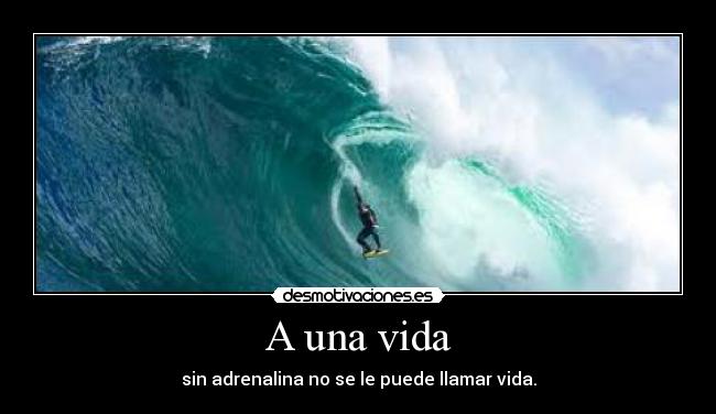 A una vida - sin adrenalina no se le puede llamar vida.