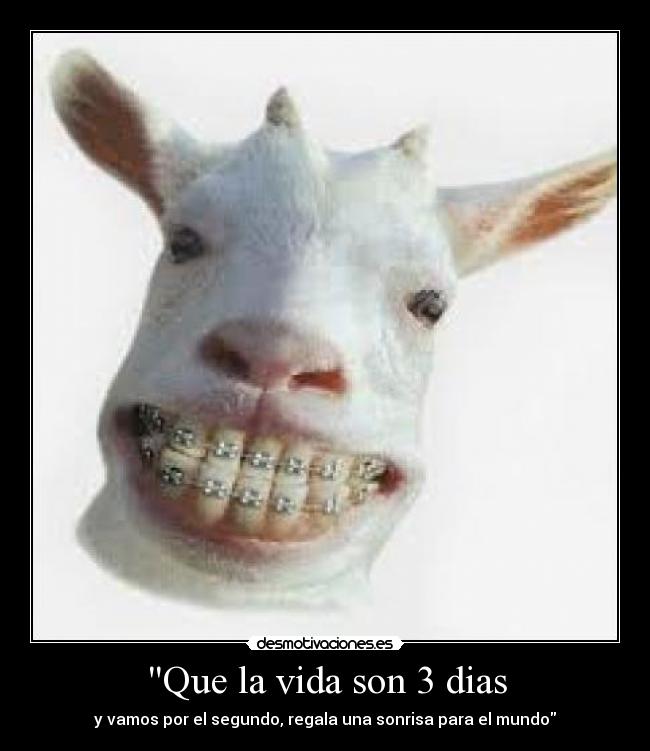 carteles vida sonrie desmotivaciones