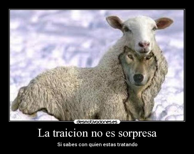 La traicion no es sorpresa - Si sabes con quien estas tratando