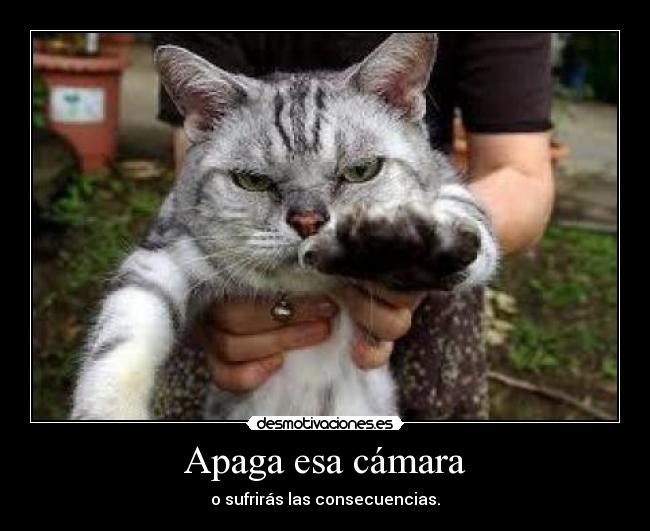 Apaga esa cámara -