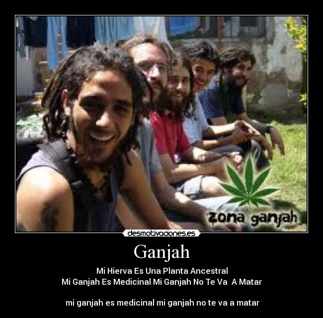 Ganjah - Mi Hierva Es Una Planta Ancestral
Mi Ganjah Es Medicinal Mi Ganjah No Te Va  A Matar

♫mi ganjah es medicinal mi ganjah no te va a matar♫