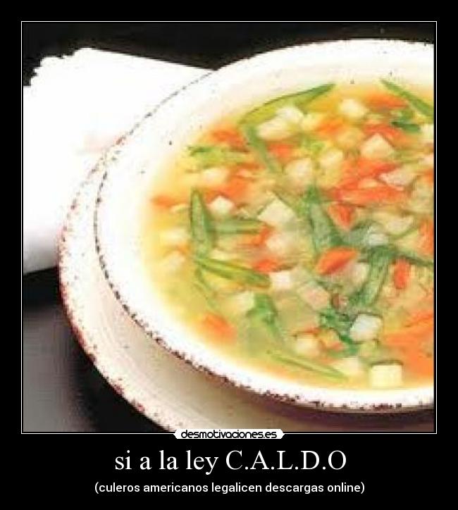si a la ley C.A.L.D.O - (culeros americanos legalicen descargas online)