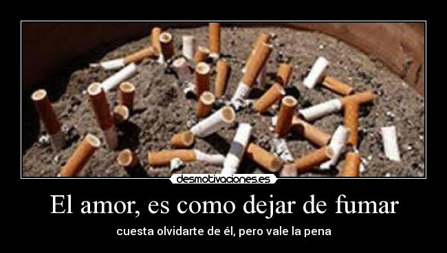 carteles amor life desmotivaciones