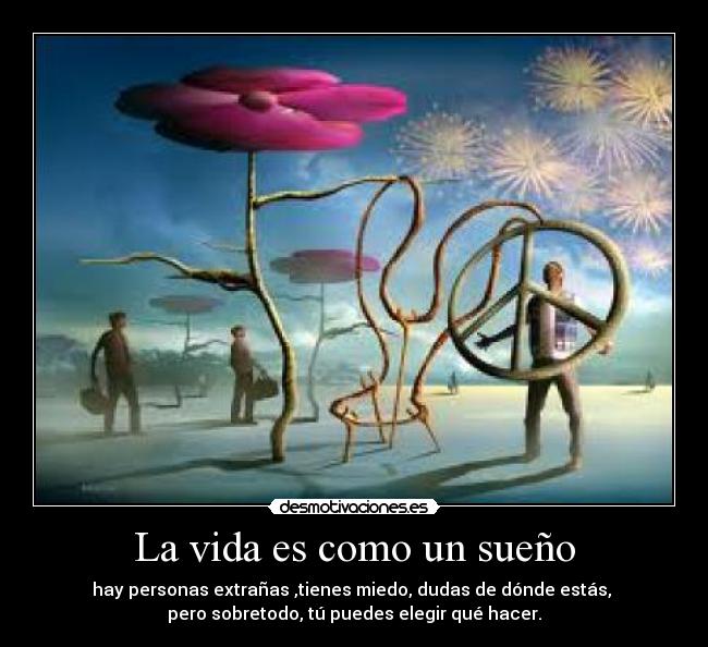 La vida es como un sueño - hay personas extrañas ,tienes miedo, dudas de dónde estás, 
pero sobretodo, tú puedes elegir qué hacer.