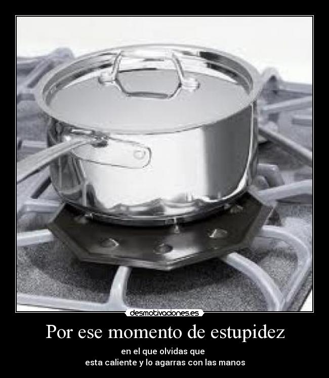 Por ese momento de estupidez - en el que olvidas que  
esta caliente y lo agarras con las manos