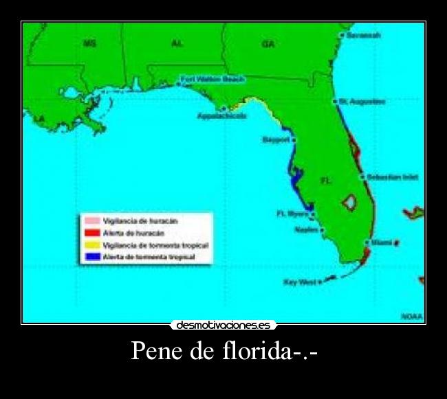 Pene de florida-.- - 