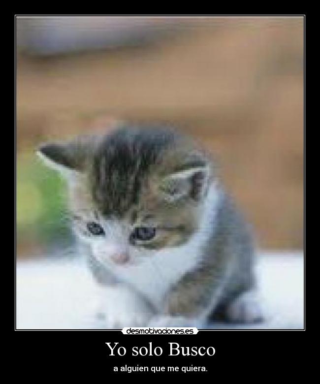 Yo solo Busco - a alguien que me quiera.