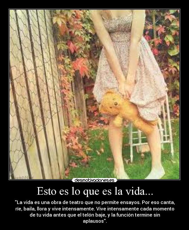 carteles vida vida desmotivaciones