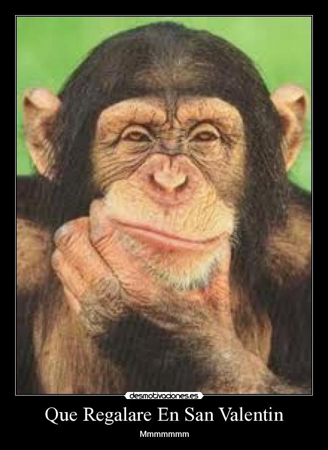 Que Regalare En San Valentin - 