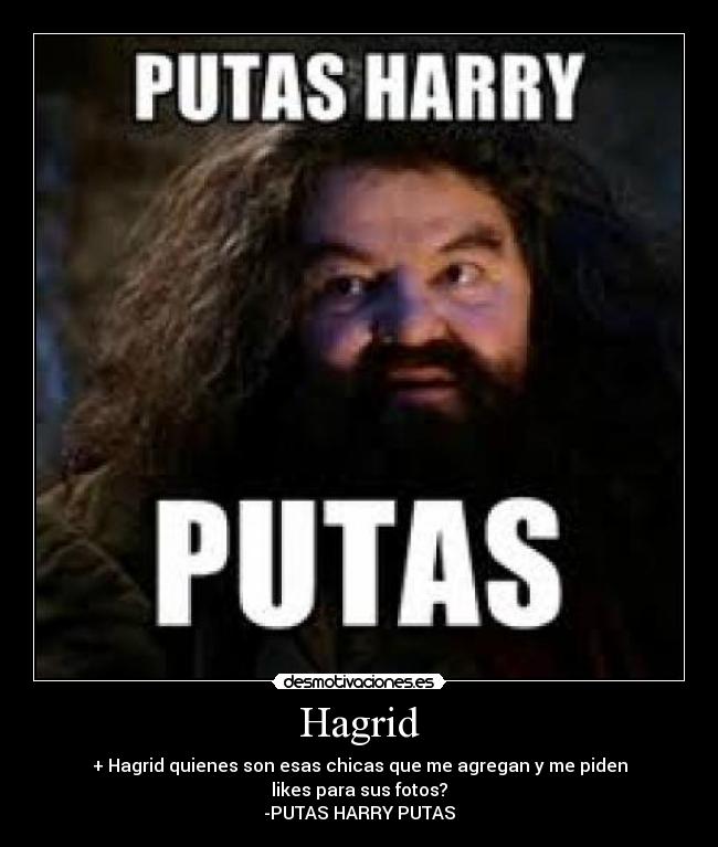 Hagrid - + Hagrid quienes son esas chicas que me agregan y me piden
likes para sus fotos?
-PUTAS HARRY PUTAS