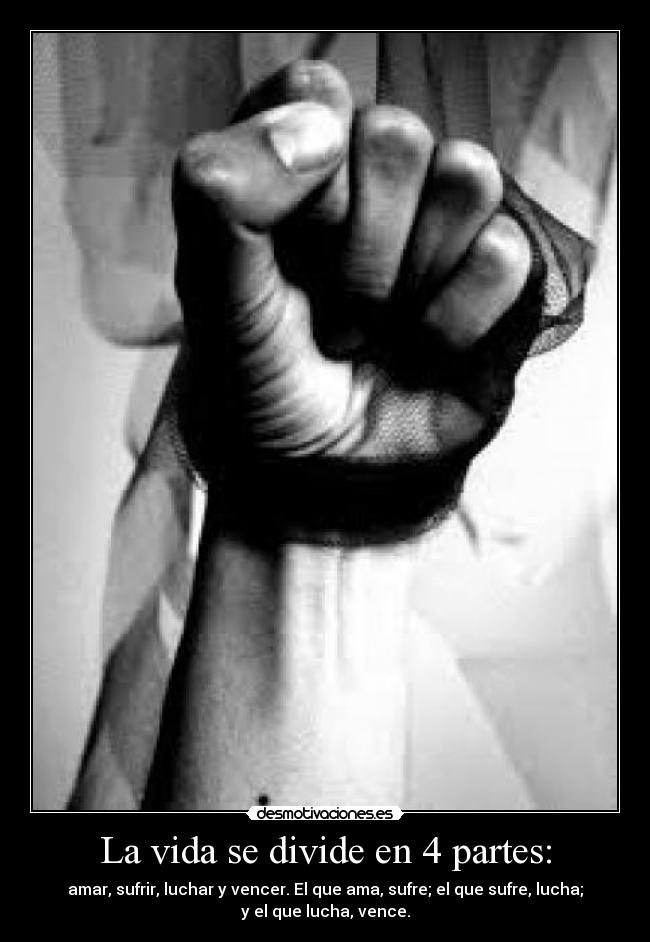 carteles vida nlkjhg desmotivaciones