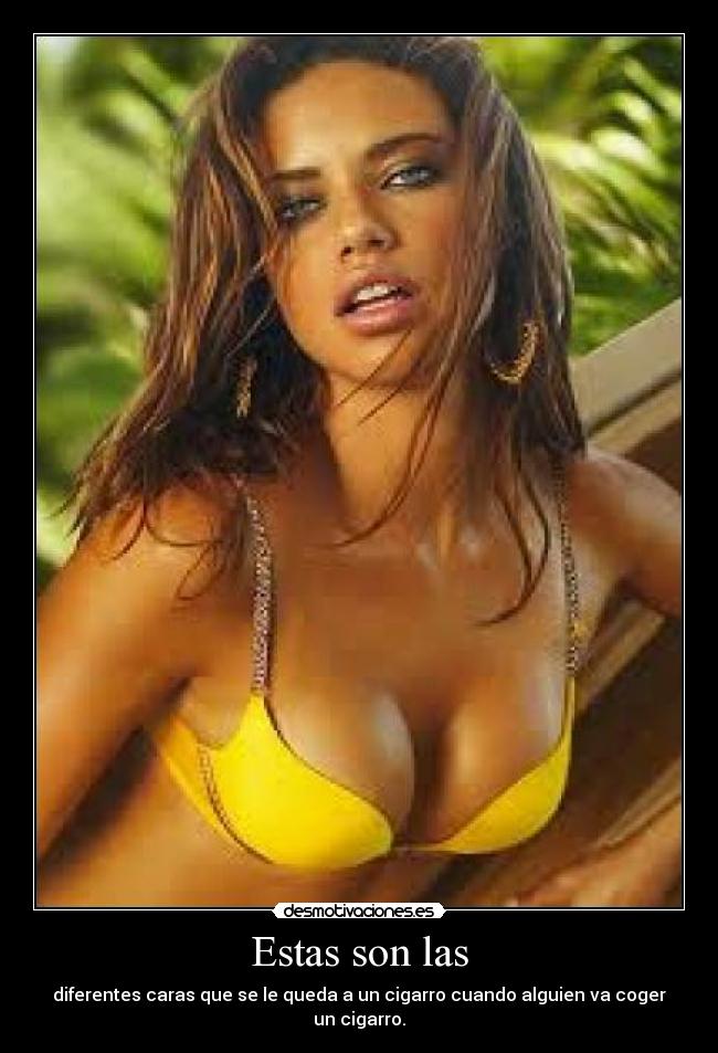 carteles xddddddddddddddddddddddddddddddddddd bybeeeeeeeeeeeeeeeeeeeeee desmotivaciones