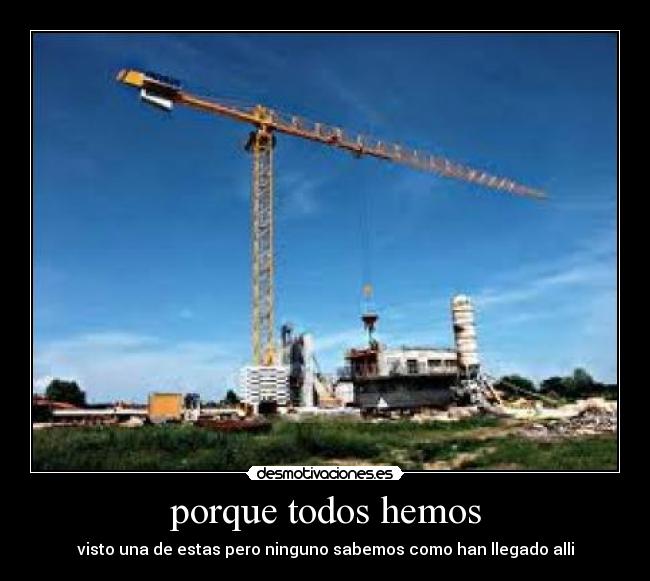 porque todos hemos - 