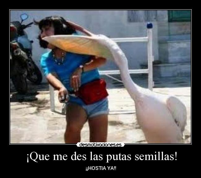 ¡Que me des las putas semillas! - 
