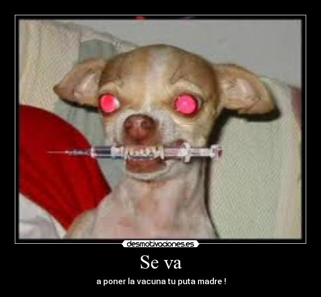 Se va - a poner la vacuna tu puta madre !