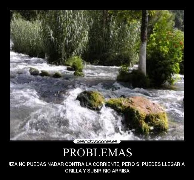 PROBLEMAS -