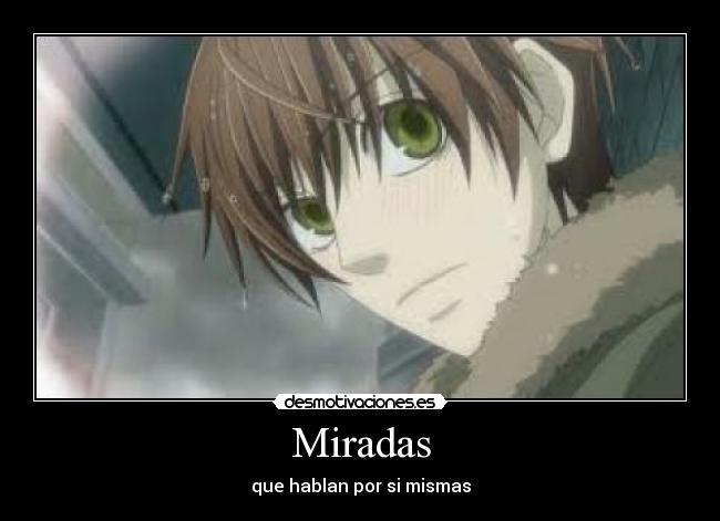 Miradas - que hablan por si mismas