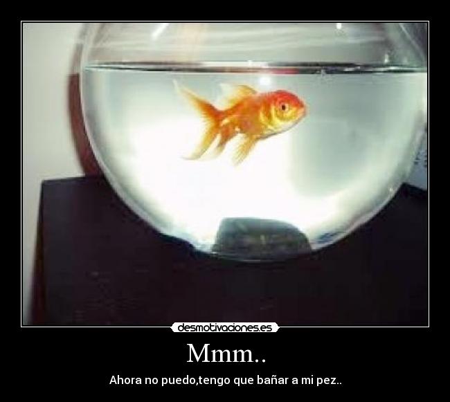 Mmm.. - Ahora no puedo,tengo que bañar a mi pez..