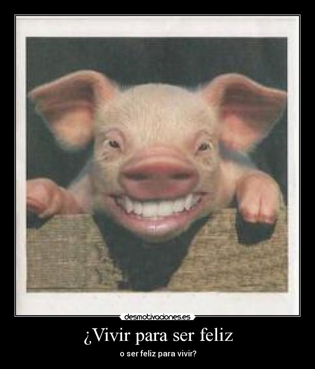 ¿Vivir para ser feliz - o ser feliz para vivir?