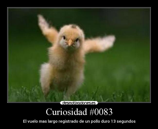Curiosidad #0083 - 