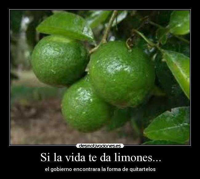 Si la vida te da limones... - 