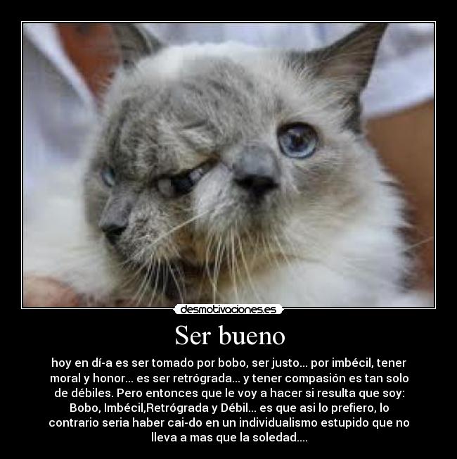 carteles fgdfg desmotivaciones