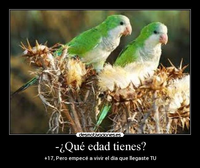 -¿Qué edad tienes? - 