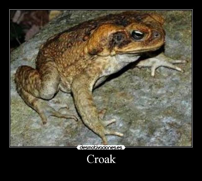 Croak -
