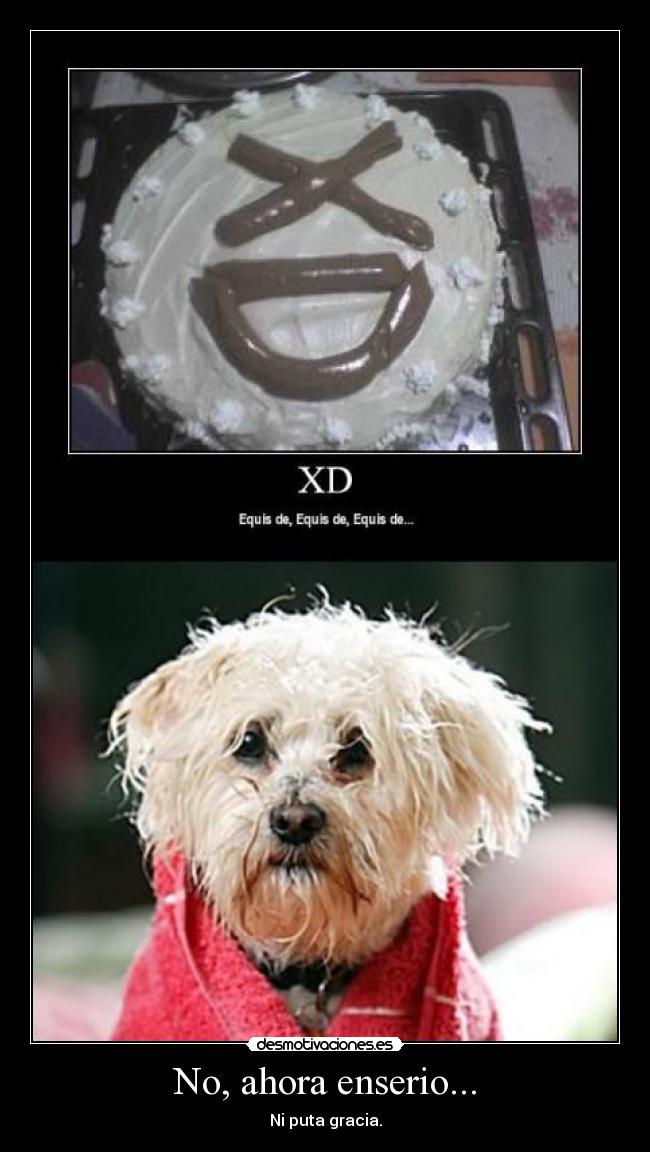 No, ahora enserio... -