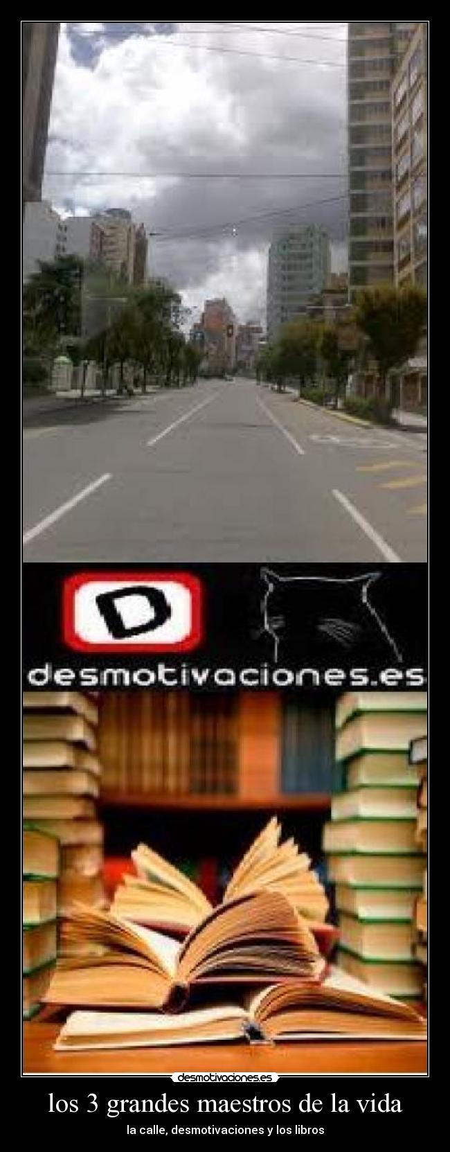 los 3 grandes maestros de la vida - la calle, desmotivaciones y los libros