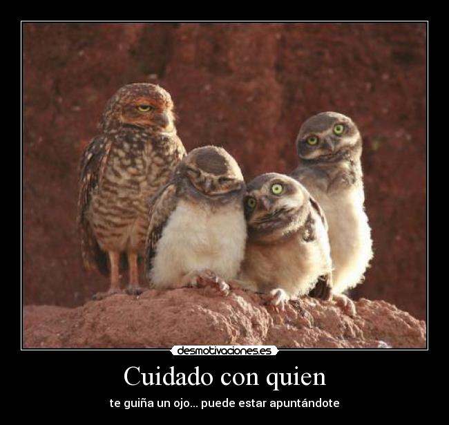 Cuidado con quien - 