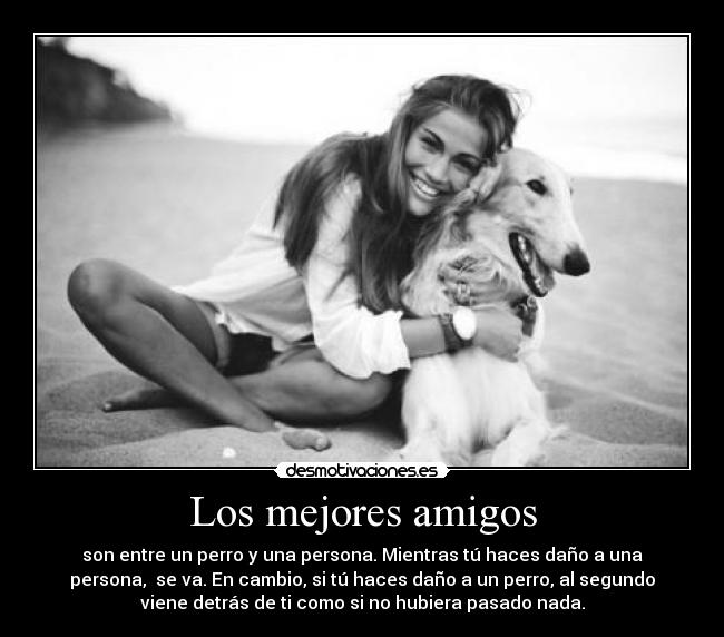 Los mejores amigos - son entre un perro y una persona. Mientras tú haces daño a una
persona, se va. En cambio, si tú haces daño a un perro, al segundo
viene detrás de ti como si no hubiera pasado nada.