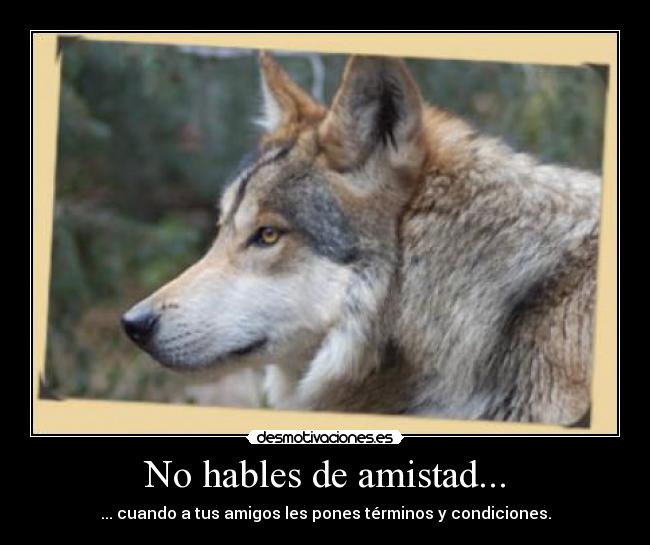 carteles amistad hables amistad amigos terminos condiciones desmotivaciones