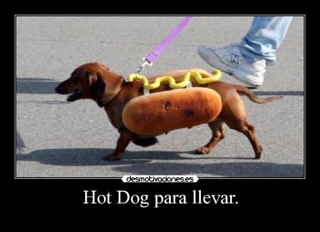 Hot Dog para llevar. -